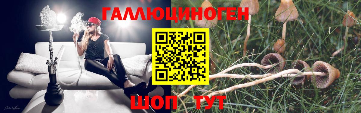 Псилоцибиновые грибы MAGIC MUSHROOMS Калуга
